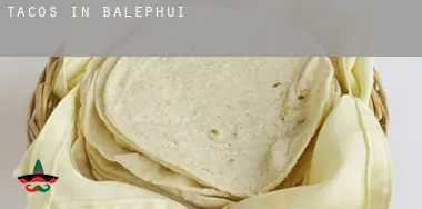Tacos in Balephuil
