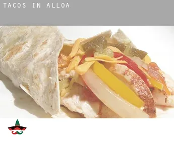Tacos in  Alloa