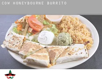 Cow Honeybourne  burrito