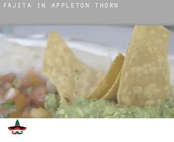 Fajita in  Appleton Thorn