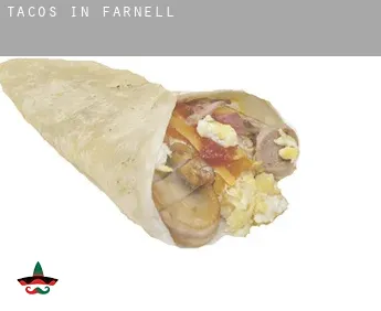 Tacos in Farnell