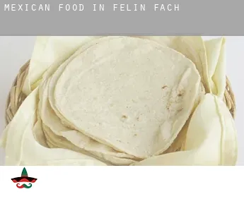 Mexican food in  Felin Fach