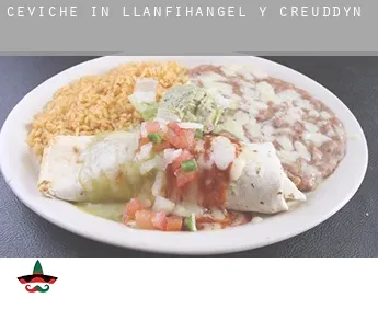 Ceviche in Llanfihangel-y-creuddyn
