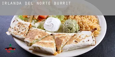 Northern Ireland  burrito