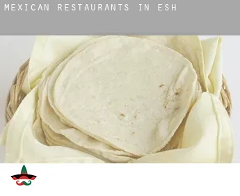 Mexican restaurants in  Esh