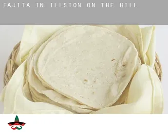 Fajita in  Illston on the Hill