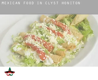 Mexican food in  Clyst Honiton
