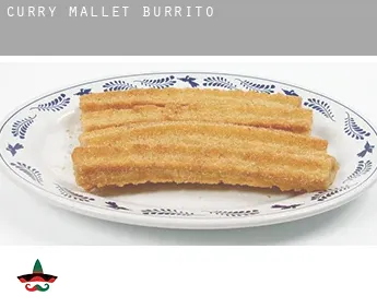 Curry Mallet  burrito